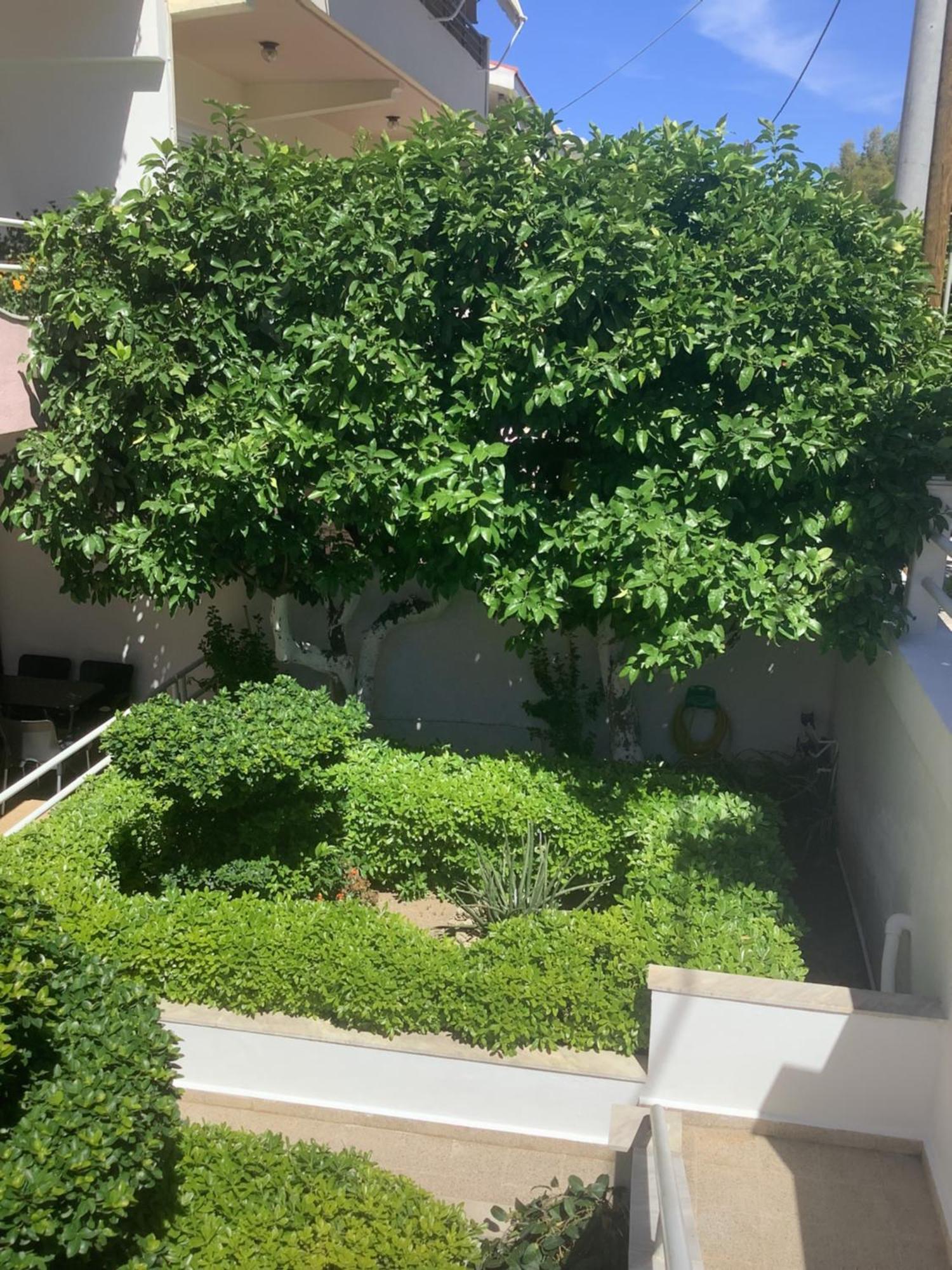 Kallipateira Apartments Rhodes City Luaran gambar