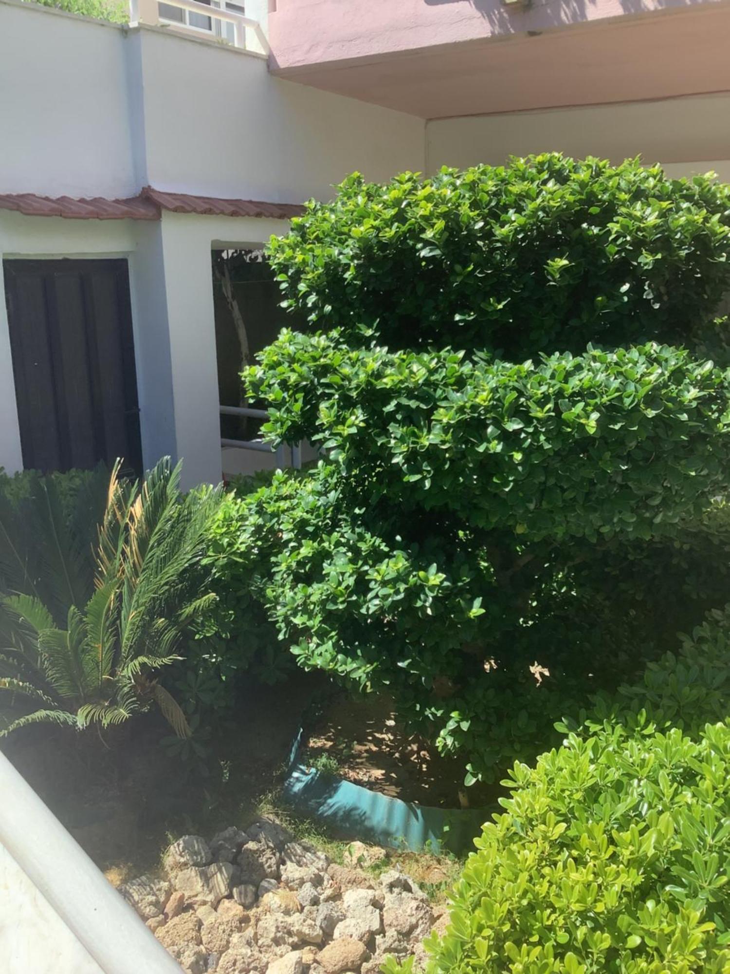 Kallipateira Apartments Rhodes City Luaran gambar
