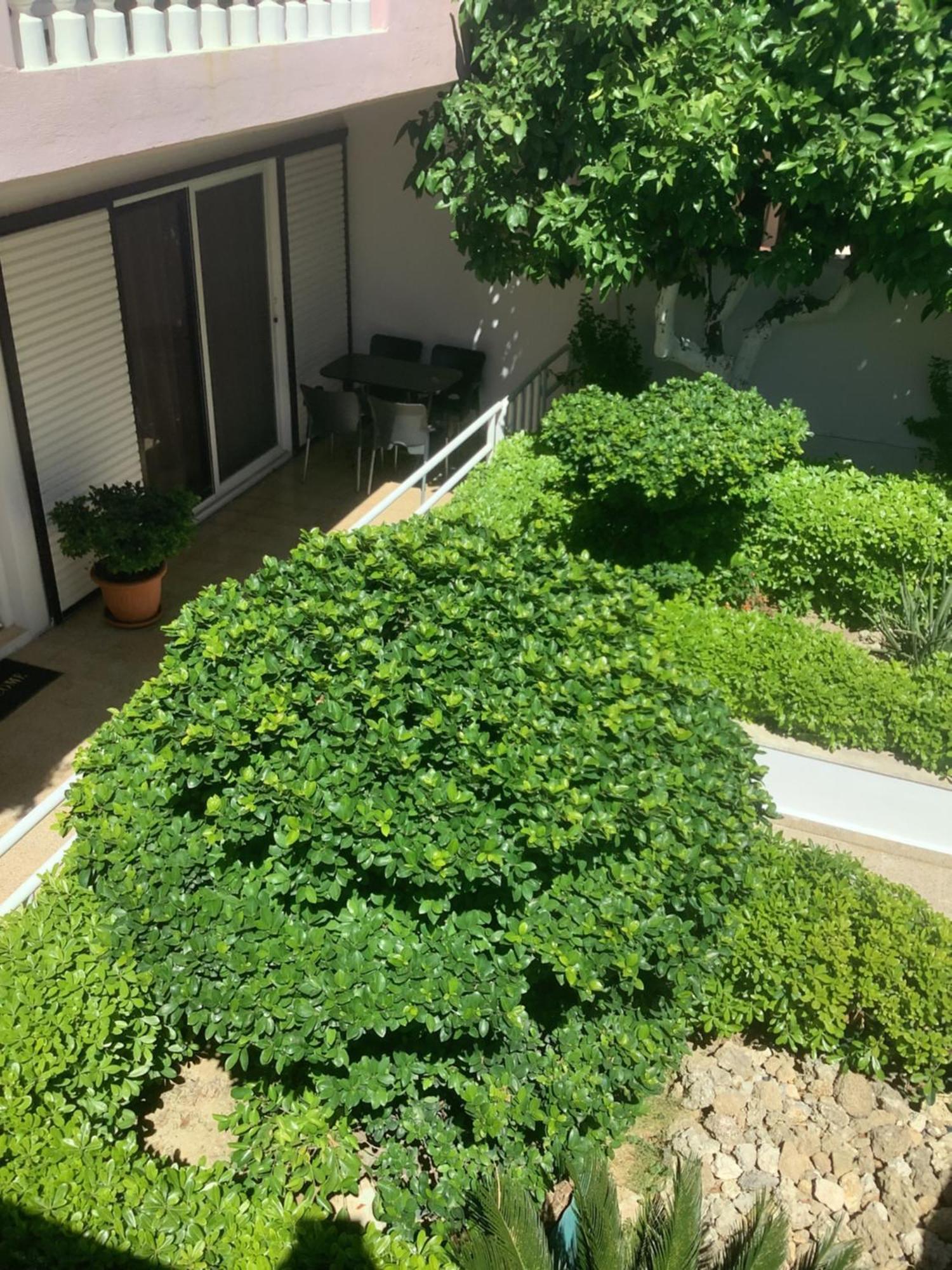 Kallipateira Apartments Rhodes City Luaran gambar