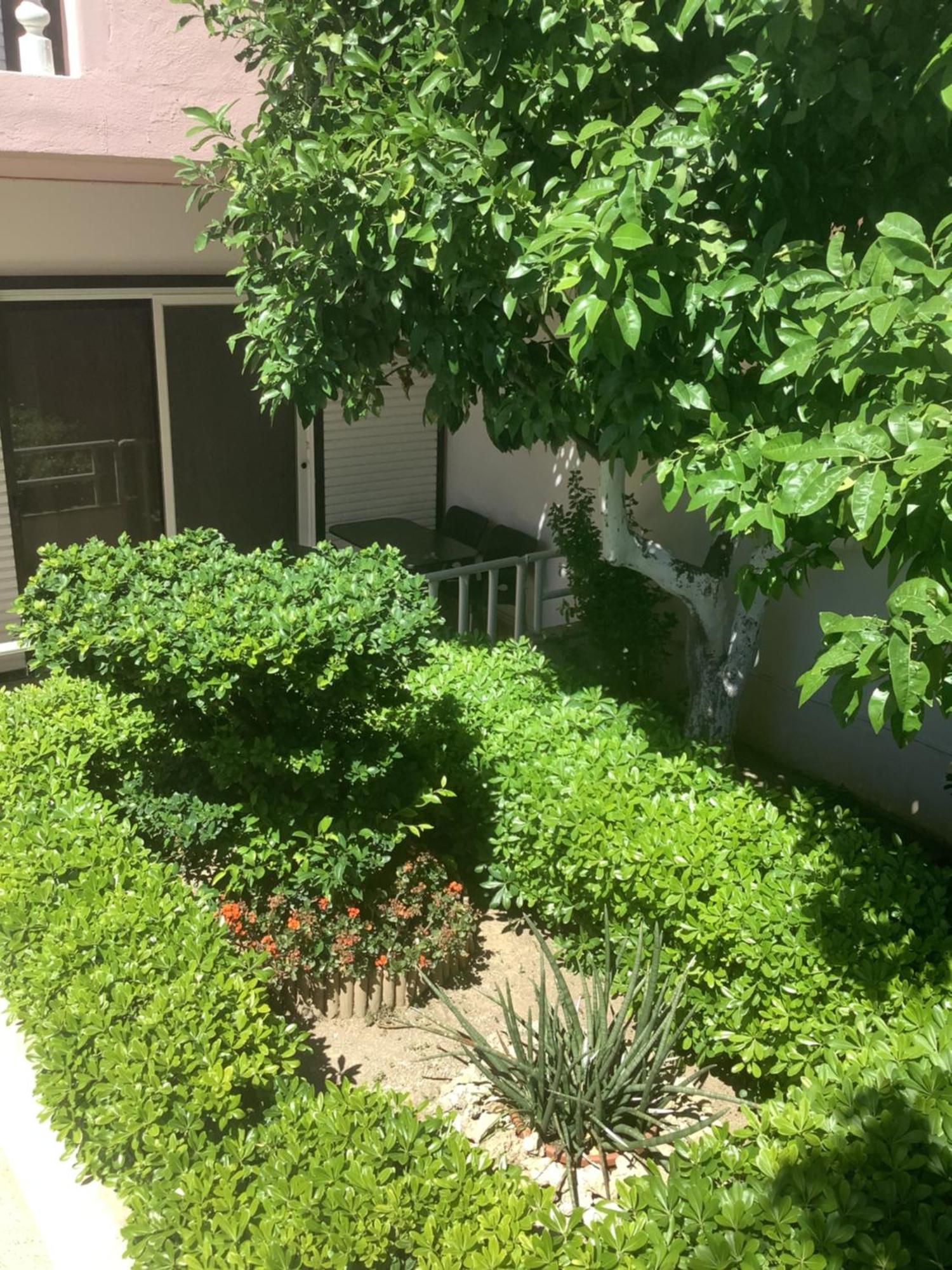 Kallipateira Apartments Rhodes City Luaran gambar